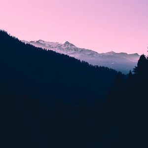 Meet your Posher, Jocelyn